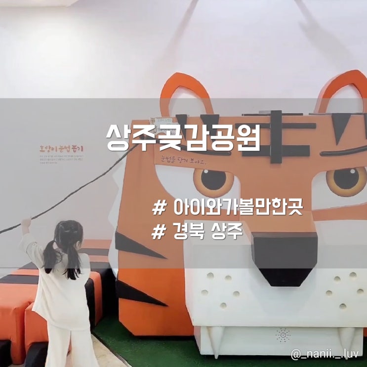  경북 상주 무료 실내 가볼만한곳 상주곶감공원