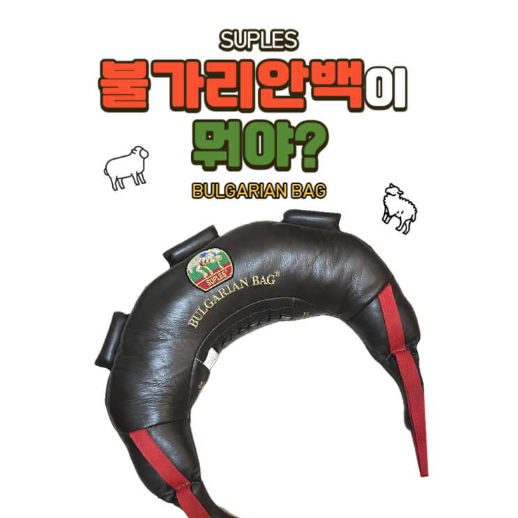  불가리안백이 뭐야? (SUPLES BULGARIAN BAG) / 소사역 피티