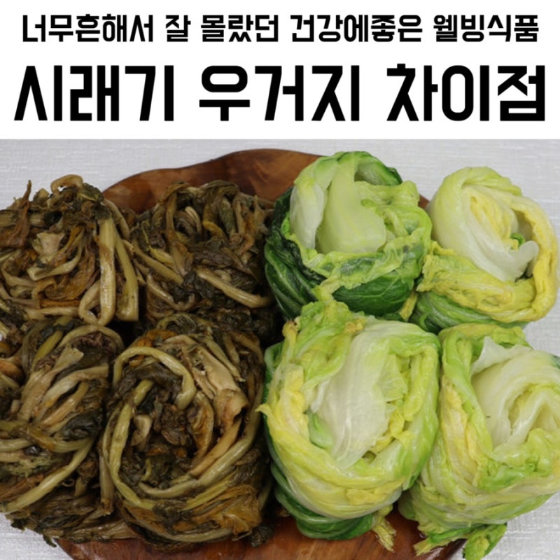 시래기 우거지 차이점 시래기 효능과 활용 요리법