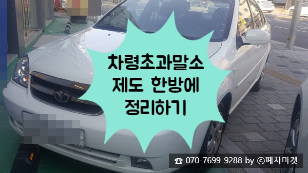  차령초과말소제도 한방에 정리하기