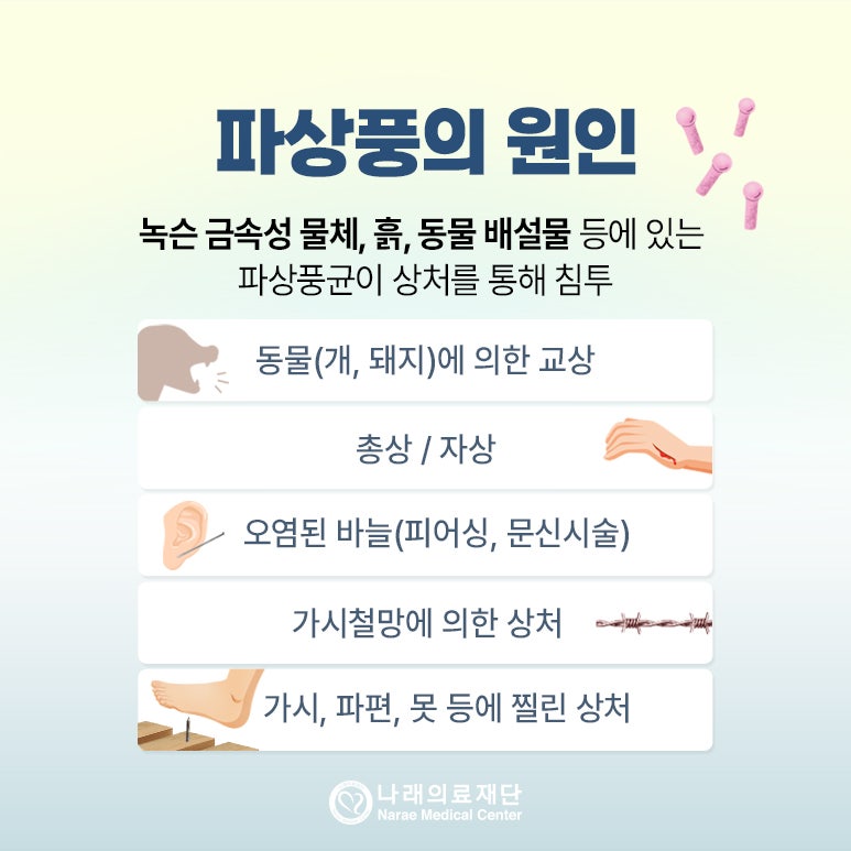 파상풍 예방접종 주기, 기간, 종류 : 네이버 블로그