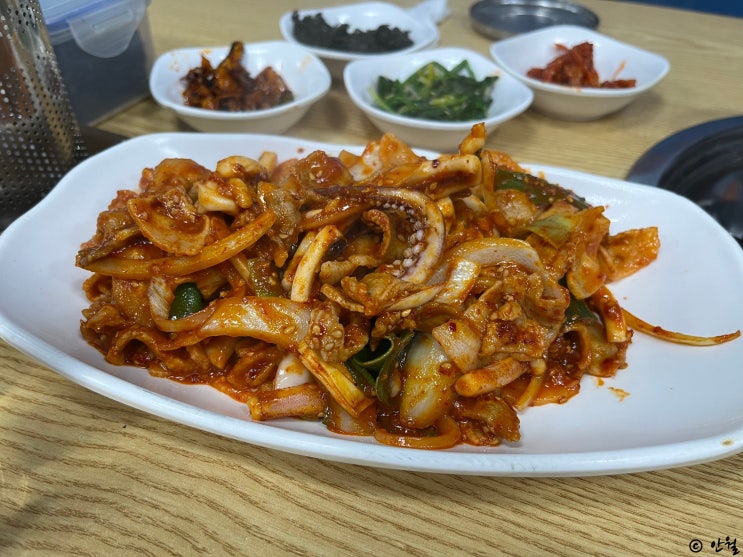  [장안동] 양님이네 | 오징어 볶음 동태찌개에 반주 낮술도 가능