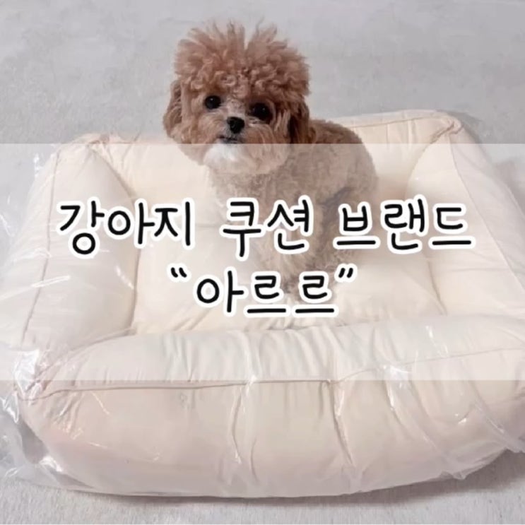  꿀잠 방석 / 아르르 꿀잠 방석 / 아르르 방석 / 아르르 / 강아지 방석 / 강아지 용품