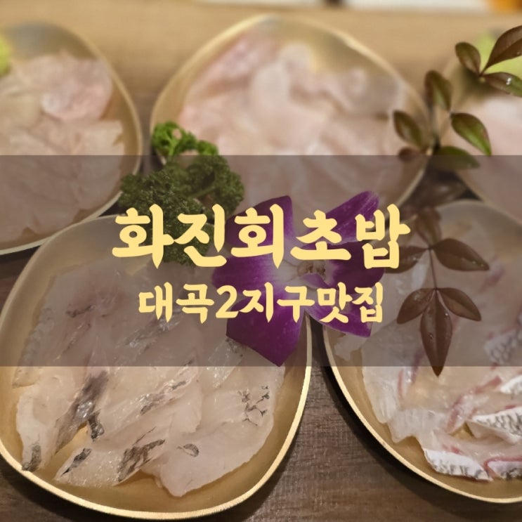 대구 월배 술집 화진회초밥 화원진천점 대곡2지구 맛집