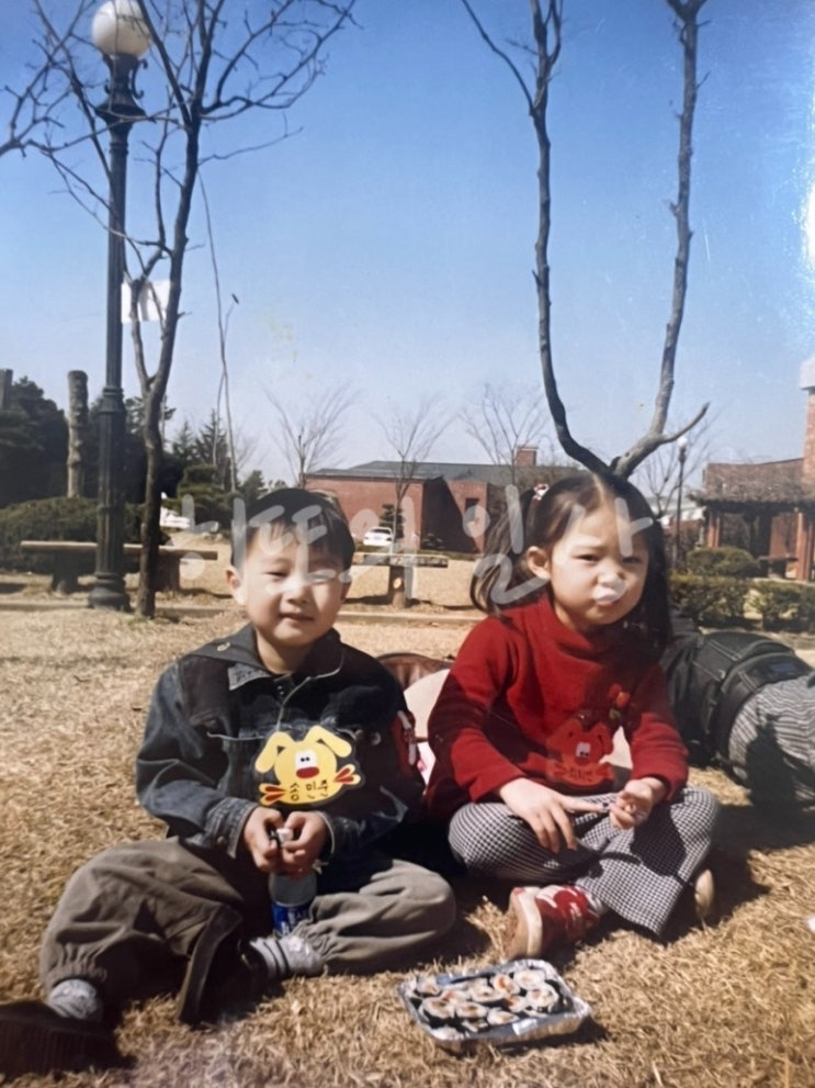  게시물 200개 기념 작성하는 100문 100답