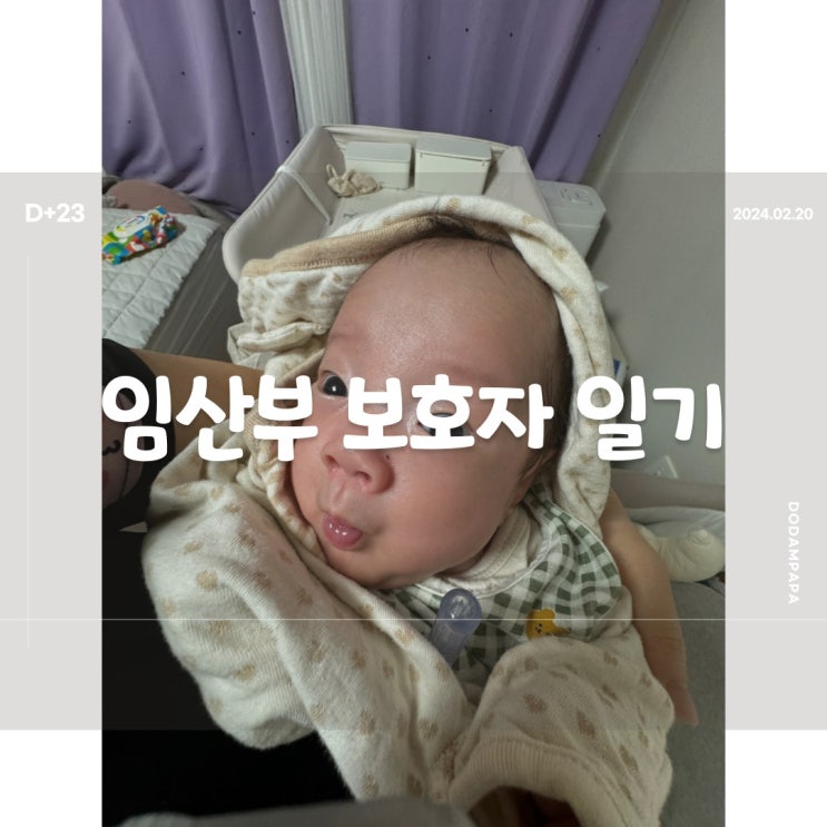2024.02.20 임산부 보호자 일기 D+23일 2024.02.20 임산부 보호자 일기 D+23일