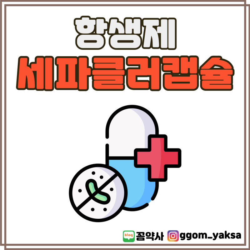 종근당세파클러캡슐, 현직 약사가 한 번에 다 정리