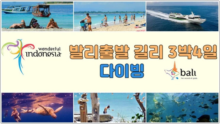  발리출발 - 길리트라왕안 3박4일 다이빙