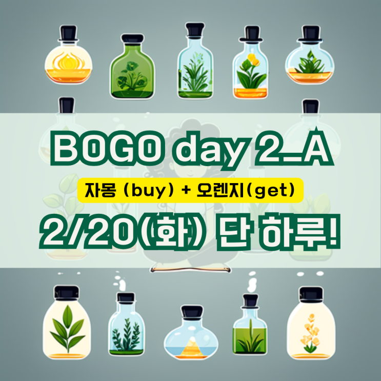  도테라 보고 2/20 (화) 단 하루!! 자몽 사면 오렌지 받고, 투메릭 사면 블랙페퍼 받고!!