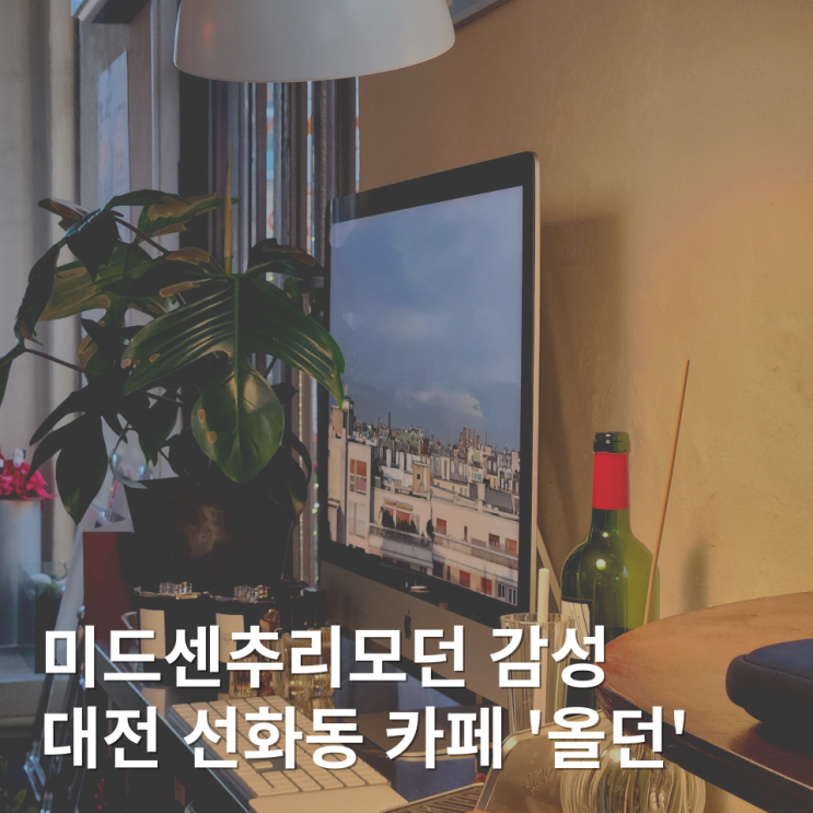  대전 선화동 카페 올던 고양이 있는 감성 브런치