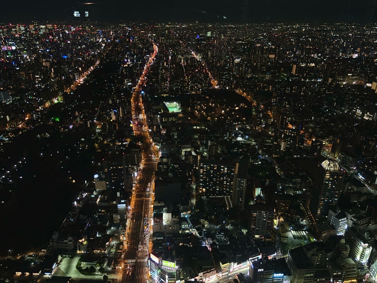  오사카여행 | 주유패스 뽕 뽑기 STEP 2 오사카 전망을 360도 파노라마로 즐기는 '하루카스 300 전망대'