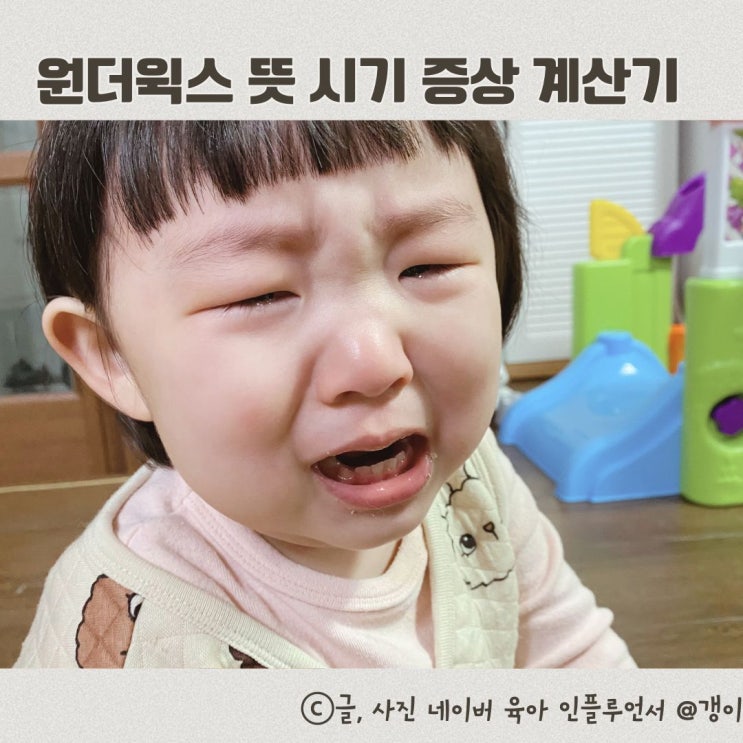  원더윅스 뜻 시기 증상 계산기