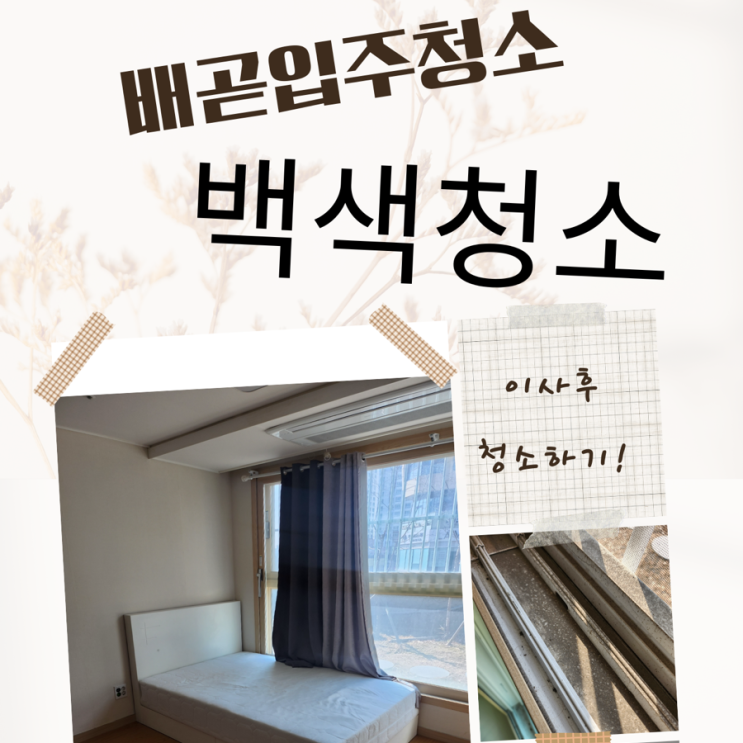 배곧 입주청소 백색청소 이사 후 청소 내돈내산