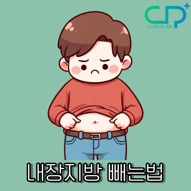  내장지방 빼는법
