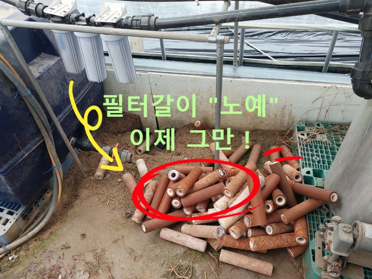 지하수 녹물필터, 황토, 못살겠다. 경기 용인 딸기농가 지하수철분제거 지하수 녹물필터, 황토, 못살겠다. 경기 용인 딸기농가 지하수철분제거