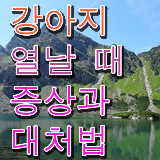  강아지 열날때 증상 처치방법 고민이시라고요 ?