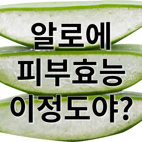  알로에효능 피부가 따끔따끔할 때 필수 성분