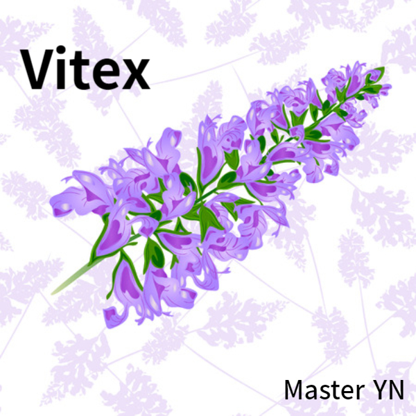  PMS 바이텍스 효능 Vitex 미국영양제소개