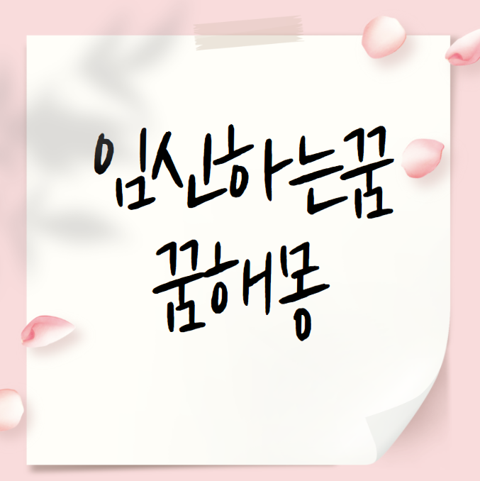 내가 임신하는꿈 아내가임신하는꿈 쌍둥이임신하는꿈 여자친구가임신하는꿈