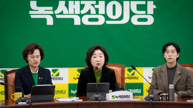 <b>녹색정의당</b> <b>심상정</b> 원내대표 수락사