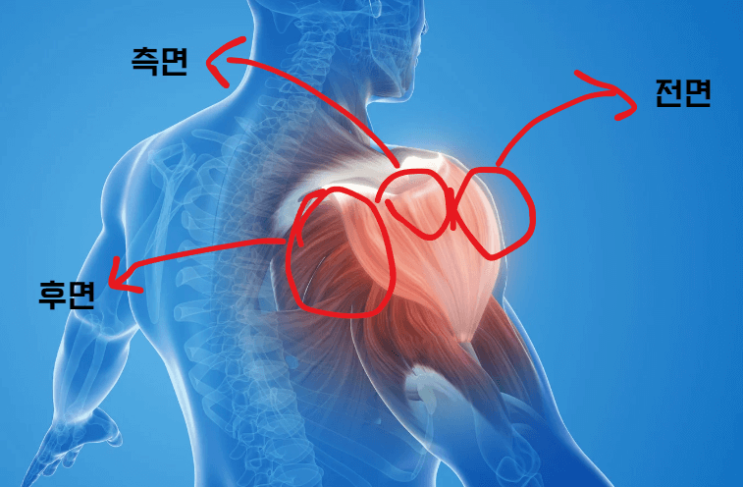  어깨 넓어지는 운동 TOP3
