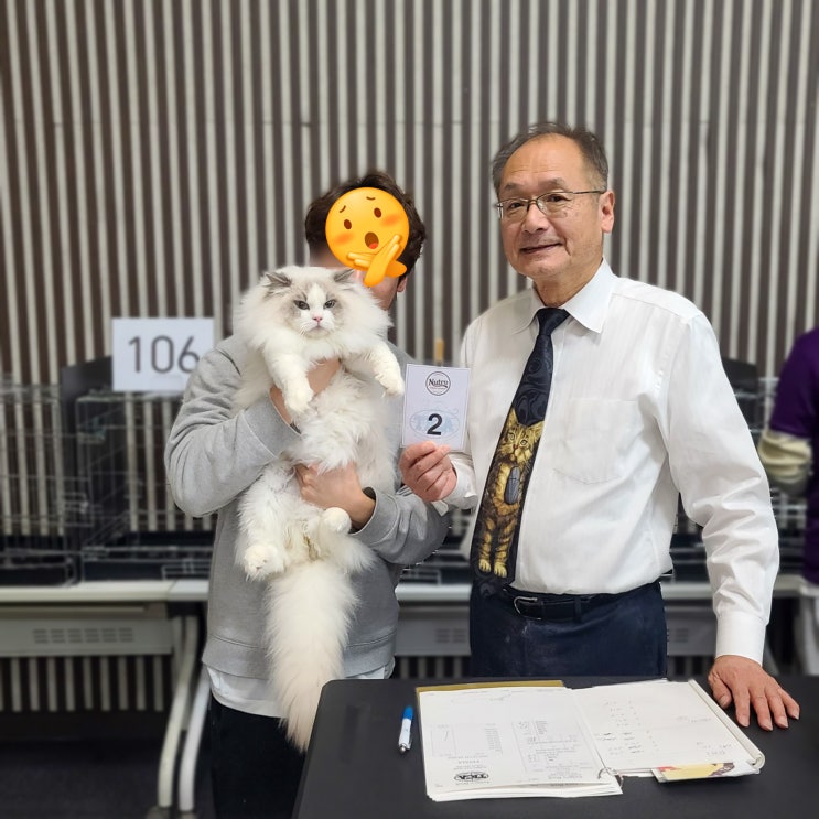  랙돌 성묘 킨텍스 tica 캣쇼 후기, 캐터리 브리더 참가하는 이유