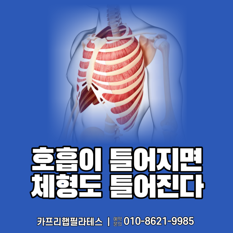  【약수역필라테스】 호흡이 틀어지면 체형도 틀어진다