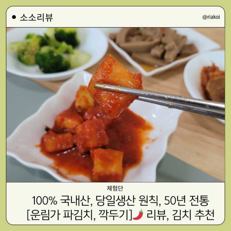 소소리뷰) 100% 국내산 맛있는 전라도김치 [운림가 파김치 & 깍두기] 인생깍두기, 온가족김치