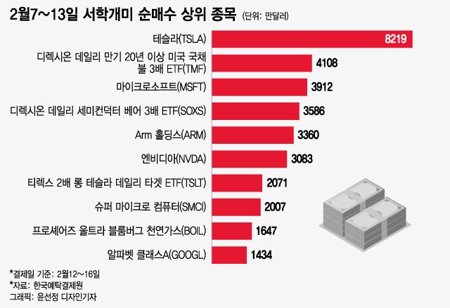 "언젠가 오르겠지" 테슬라 저가 매수 vs "더 오르겠지" AI주 추매