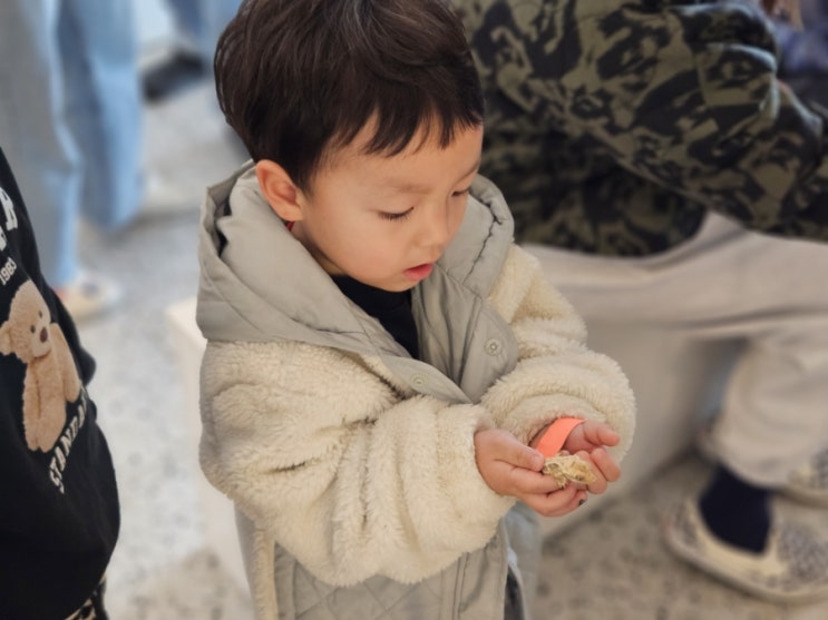  부산아이랑가볼만한곳 동물체험이 가능한 광안리 이색카페