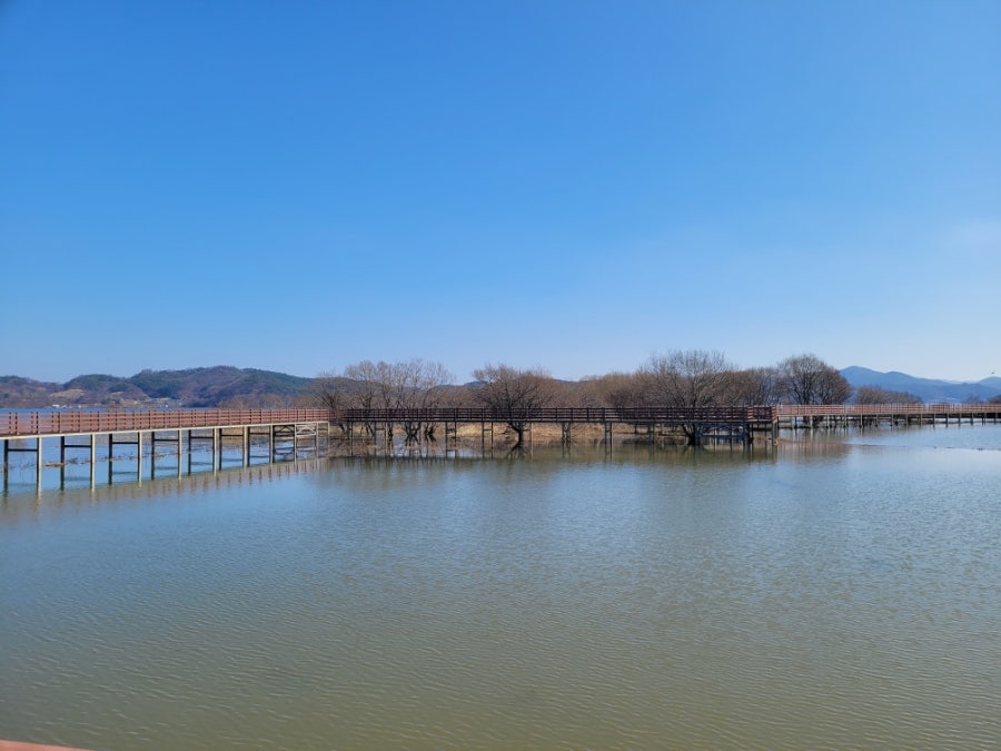 일미정 사진 5