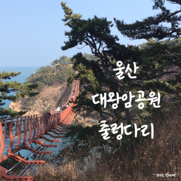 울산 동구 일산동 [대왕암 공원] 출렁다리 # 당일치기 가족 여행