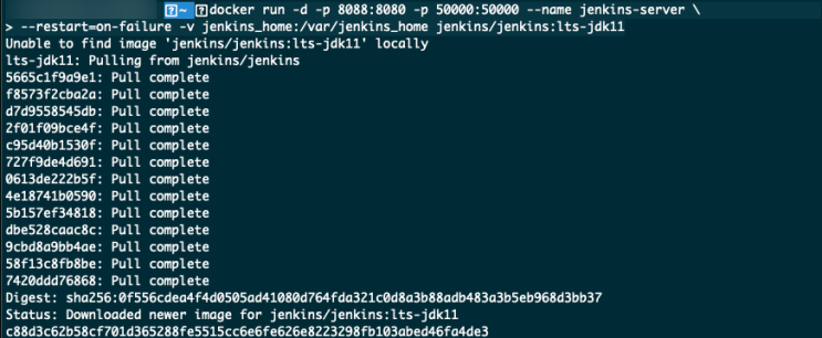  [Jenkins] Docker 사용해서 설치하기