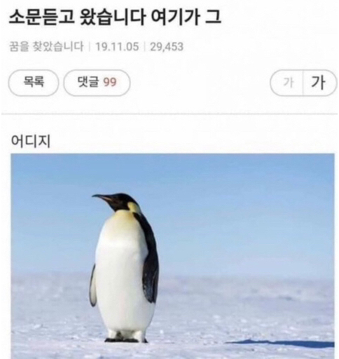  [240220]수영 28회(17번째 강습️ +수모 디자인 공개)