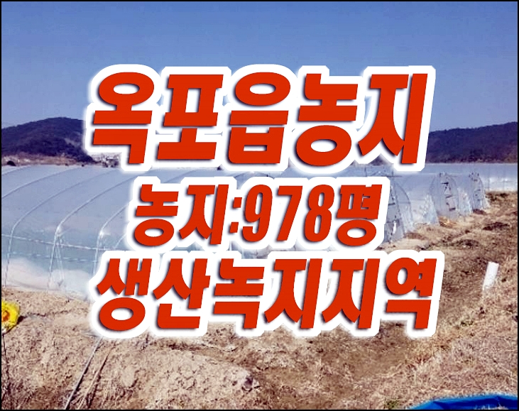 대구농지경매 달성군 옥포읍 교향리 농지 매매 대구농지경매 달성군 옥포읍 교향리 농지 매매