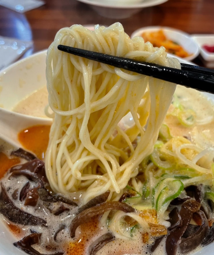  강남역 라멘 맛집 오레노 라멘 강남 후기 혼밥 메뉴