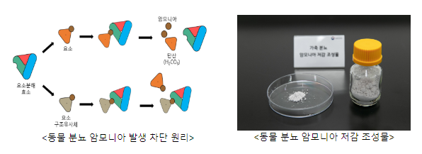 농촌진흥청, 동물 분뇨 암모니아 차단 기술 산업체 이전