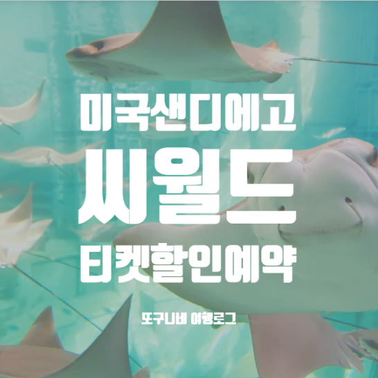  샌디에고 씨월드 티켓 가격 & 할인 예약 방법