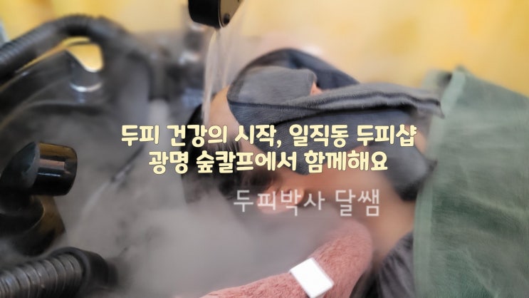  두피 건강의 시작, 일직동 두피샵 / 광명 숲칼프에서 함께해요