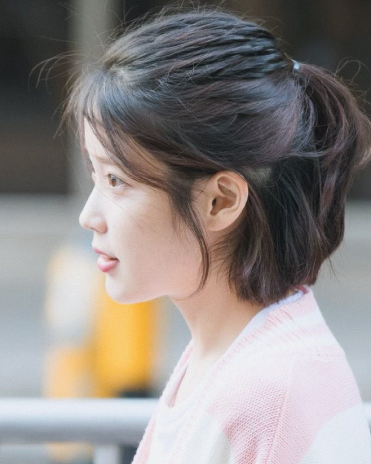  아이유 단발 스타일 허쉬컷, 레이어드, 반묶음 이미지