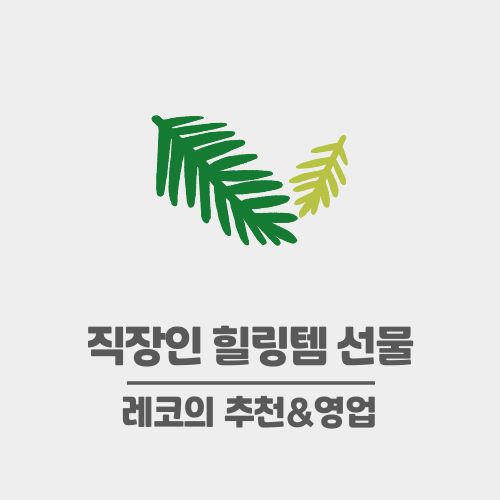  직장인 선물 추천 - 3만원 내외 힐링템 다섯 가지