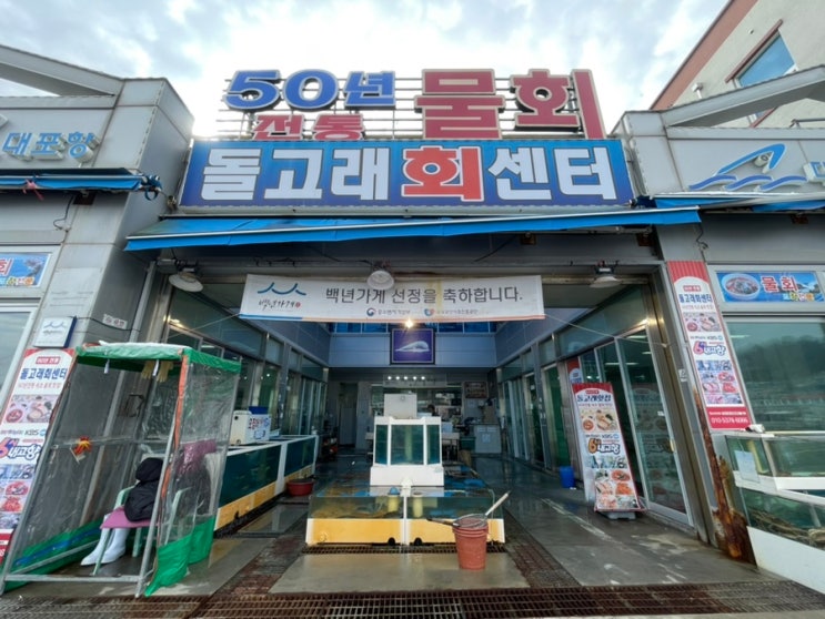  속초 횟집 찾을 때 기가 막힌 돌고래 회 센터