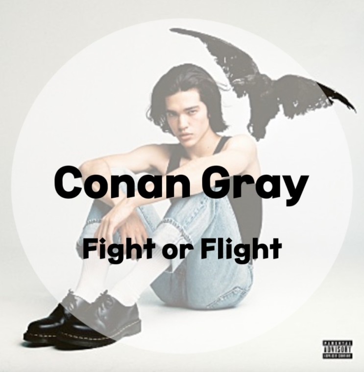 : Conan Gray : Fight or Flight (가사/듣기/Lyric Video)