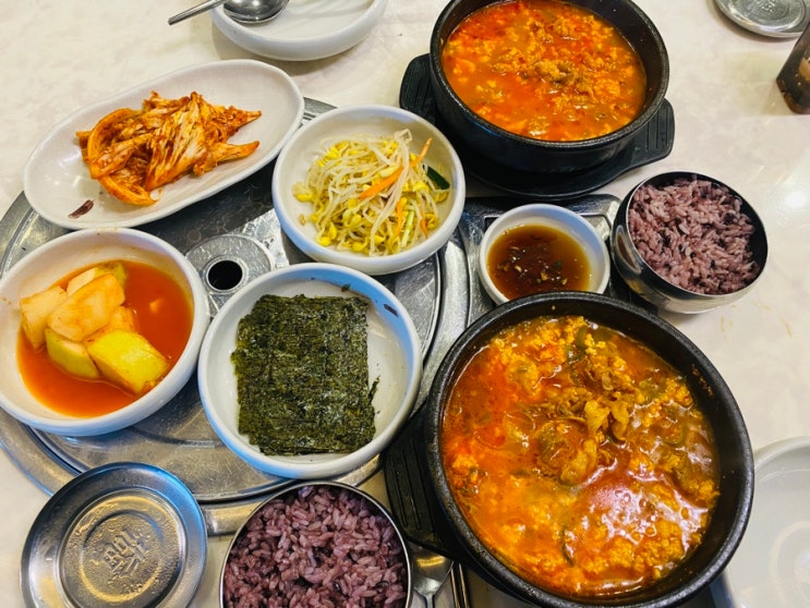  차돌순두부 맛집 대가순두부 고양시 화정점