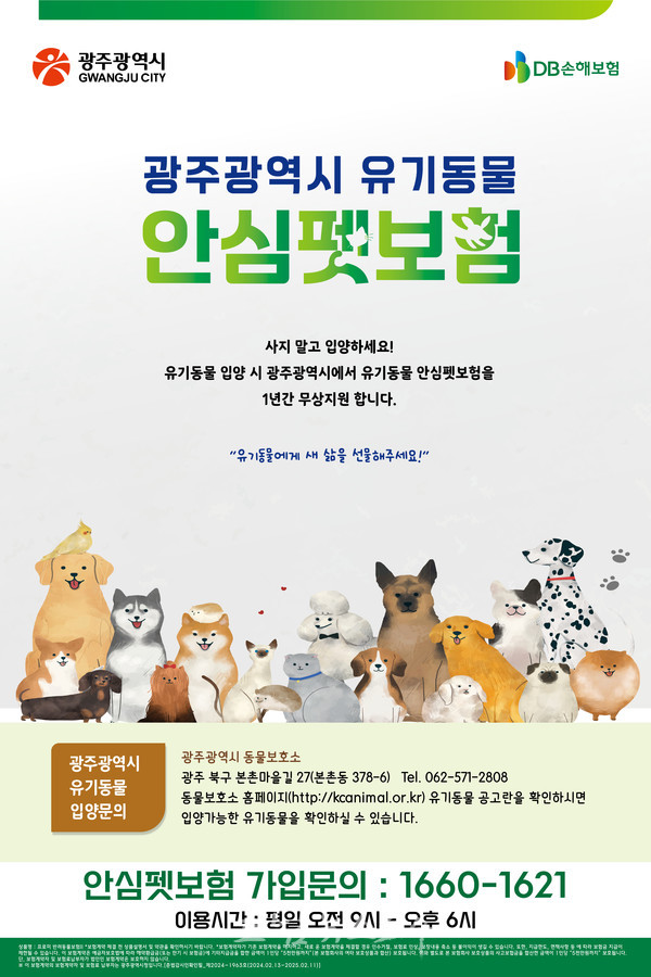  광주동물보호소에서 입양동물 안심펫보험 지원한다