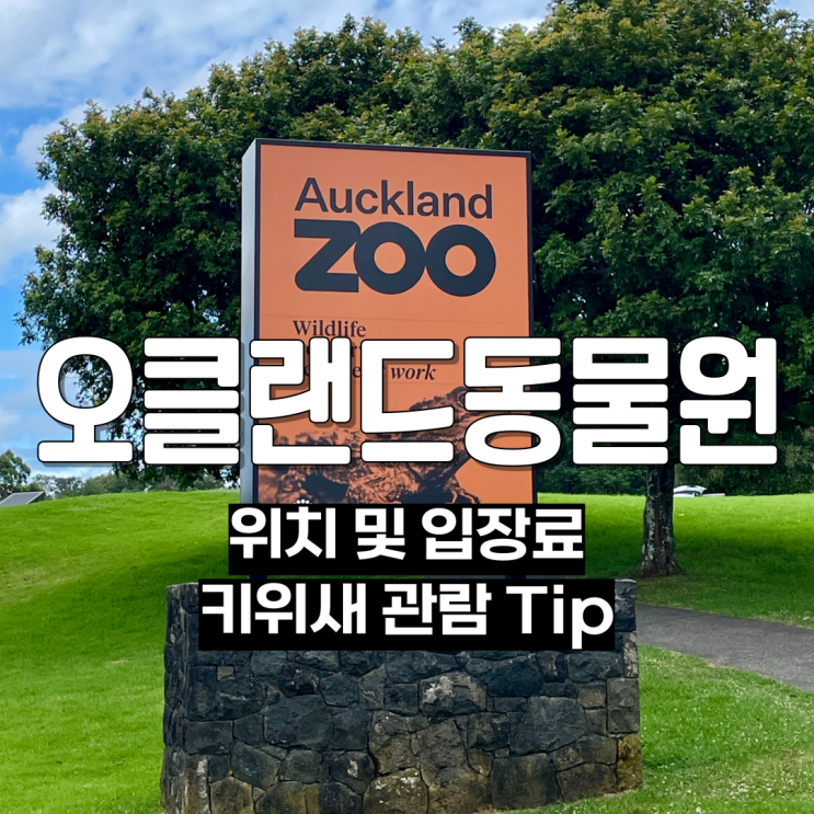 뉴질랜드에서 꼭 가봐야 할 오클랜드 동물원 키위새 관람 Tip