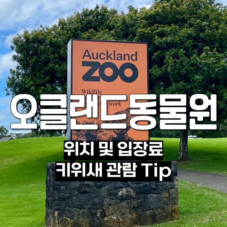  뉴질랜드에서 꼭 가봐야 할 오클랜드 동물원 키위새 관람 Tip