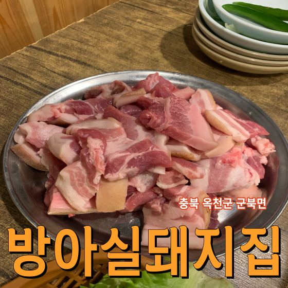  옥천 방아실 생고기가 맛있는 현지인 맛집 방아실돼지집