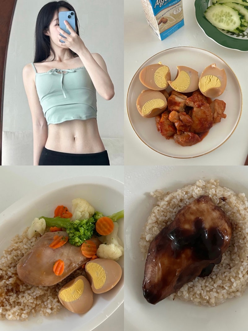 다이어트 식단 : 소스닭가슴살 한끼통살 맛 추천 칼로리 해동 l 그릴드 닭가슴살 비교
