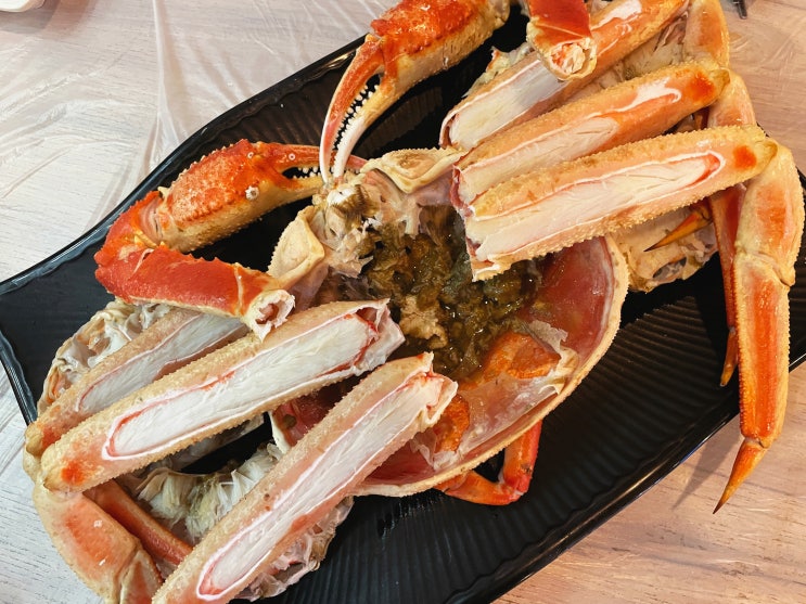  강원도 삼척 쏠비치 맛집 바다 보면서 대게와 해산물 먹을 수 있는 대게먹방